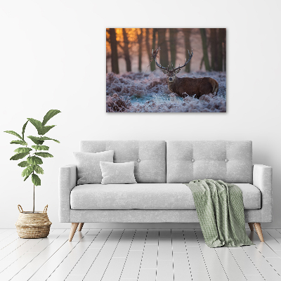 Bild auf leinwand Hirsche bei Sonnenaufgang