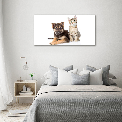 Fotobild Hund und Katze