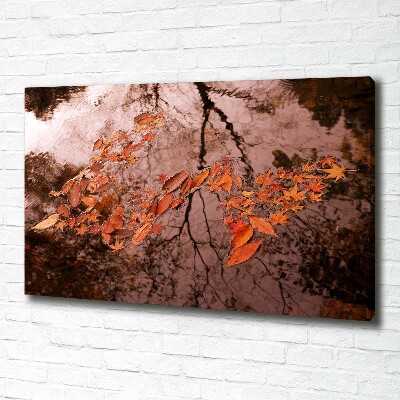 Bild auf leinwand Blätter auf dem Wasser