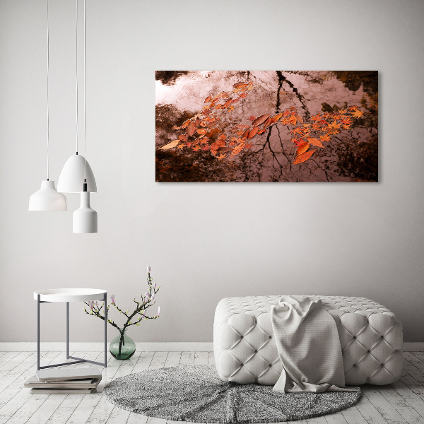 Bild auf leinwand Blätter auf dem Wasser