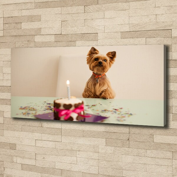 Bild auf leinwand Hund mit Kuchen