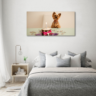 Bild auf leinwand Hund mit Kuchen