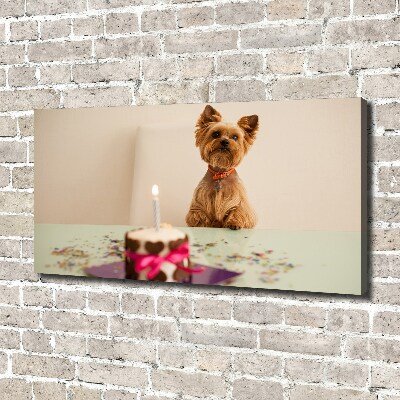 Bild auf leinwand Hund mit Kuchen