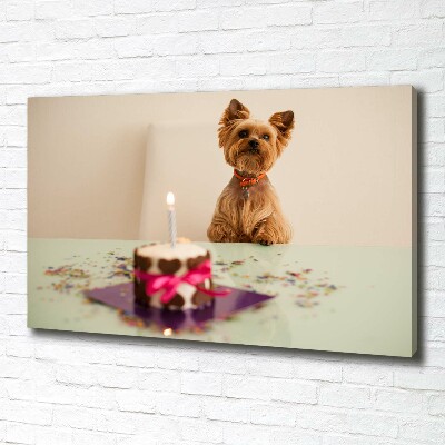 Bild auf leinwand Hund mit Kuchen