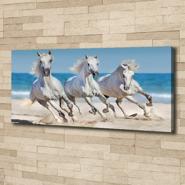 Bild auf leinwand Strand von White Horses