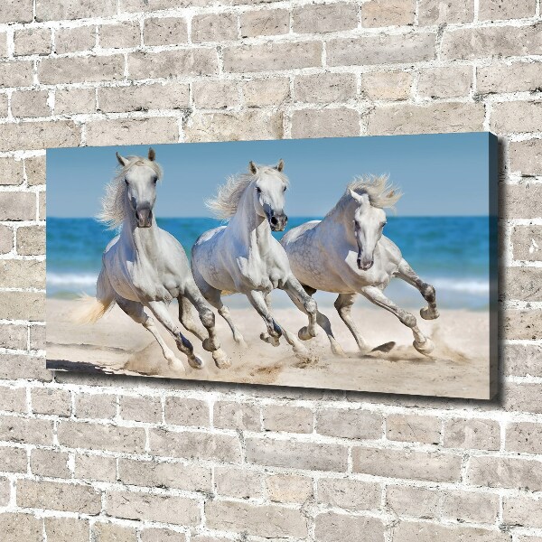 Bild auf leinwand Strand von White Horses