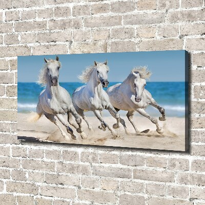 Bild auf leinwand Strand von White Horses