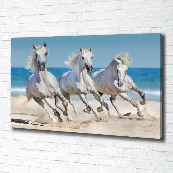 Bild auf leinwand Strand von White Horses