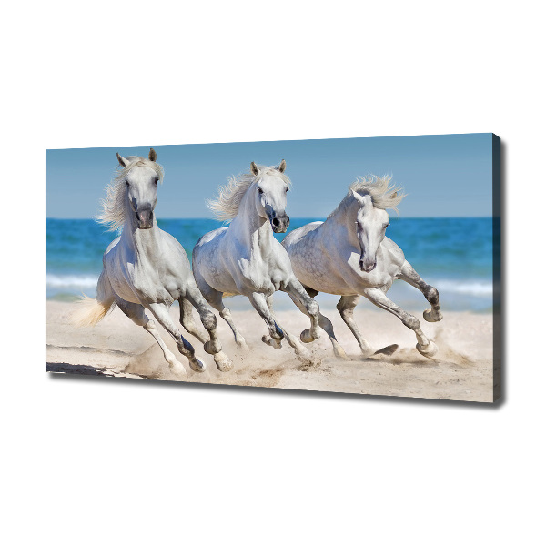 Bild auf leinwand Strand von White Horses