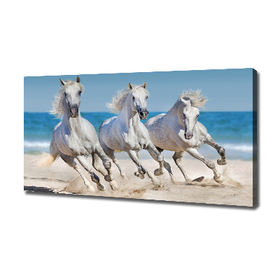 Bild auf leinwand Strand von White Horses