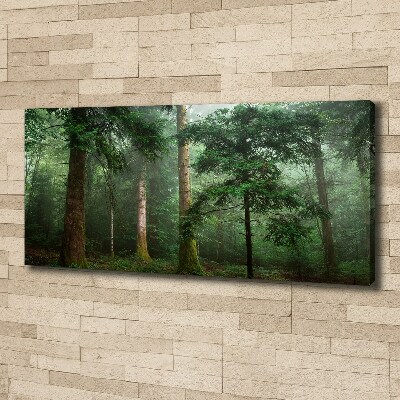 Bild auf leinwand Nebel im Wald