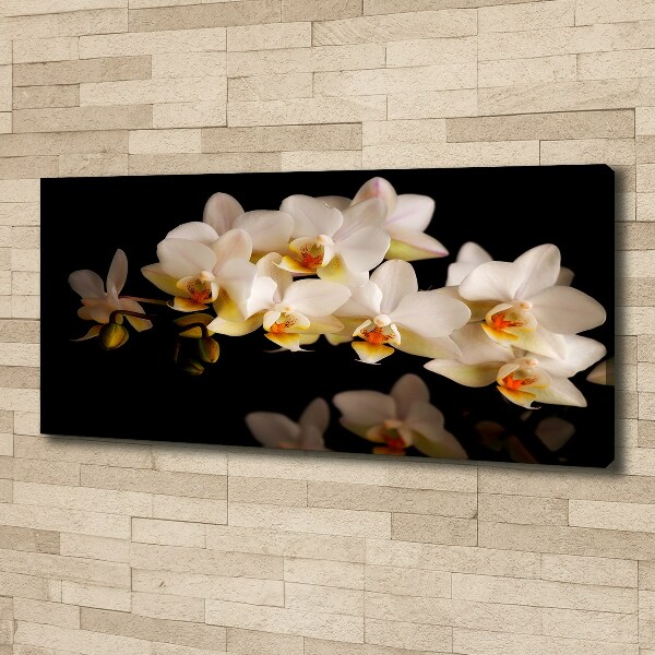 Fotobild Orchidee
