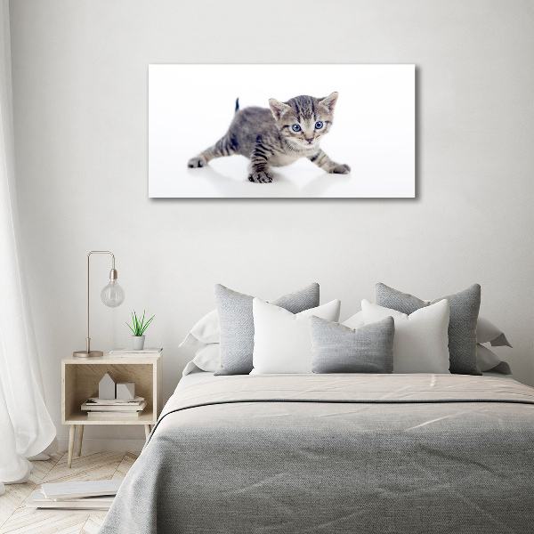 Wandbild Kleine Katze
