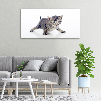 Wandbild Kleine Katze