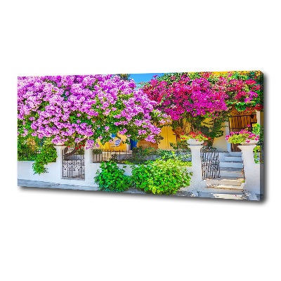 Bild auf leinwand Haus mit Bougainvillea