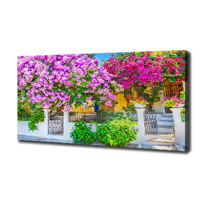 Bild auf leinwand Haus mit Bougainvillea