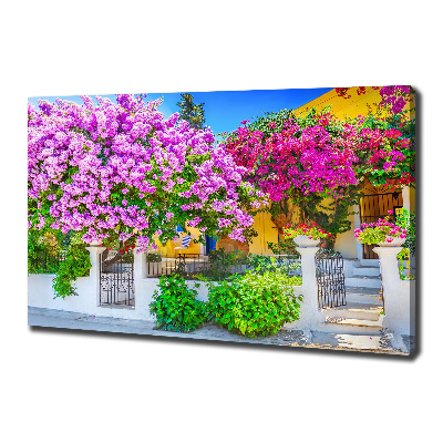 Bild auf leinwand Haus mit Bougainvillea