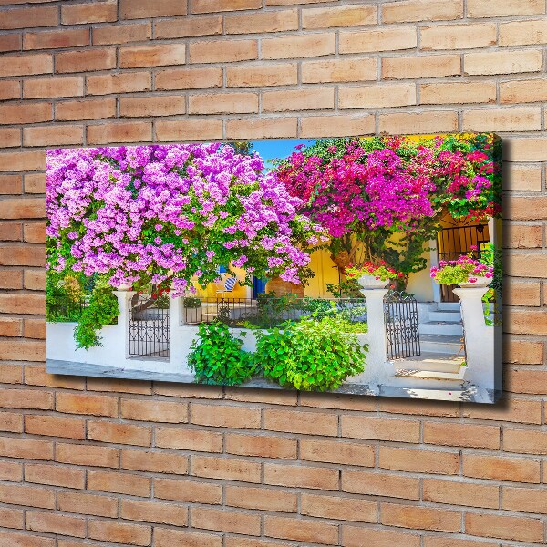 Bild auf leinwand Haus mit Bougainvillea