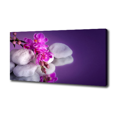Wandbild Orchidee