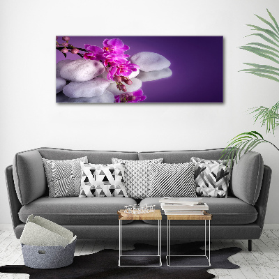 Wandbild Orchidee