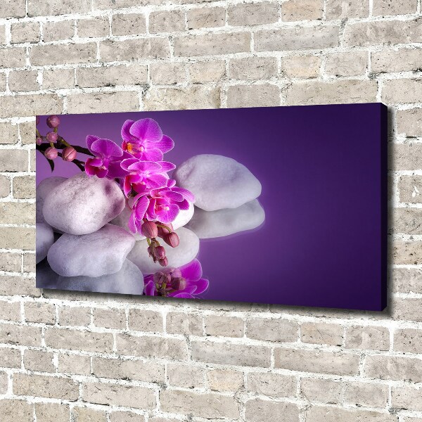 Wandbild Orchidee