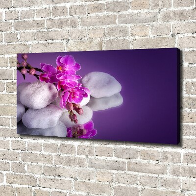 Wandbild Orchidee