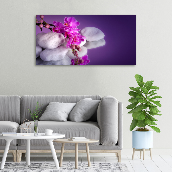 Wandbild Orchidee