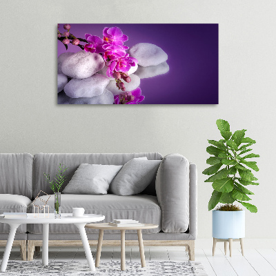 Wandbild Orchidee