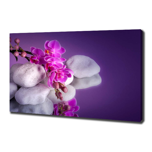 Wandbild Orchidee
