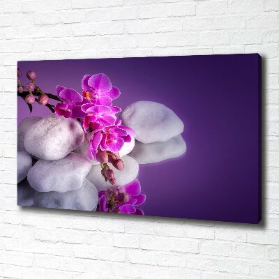 Wandbild Orchidee