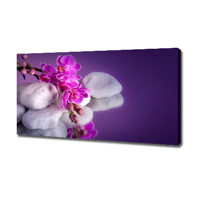Wandbild Orchidee