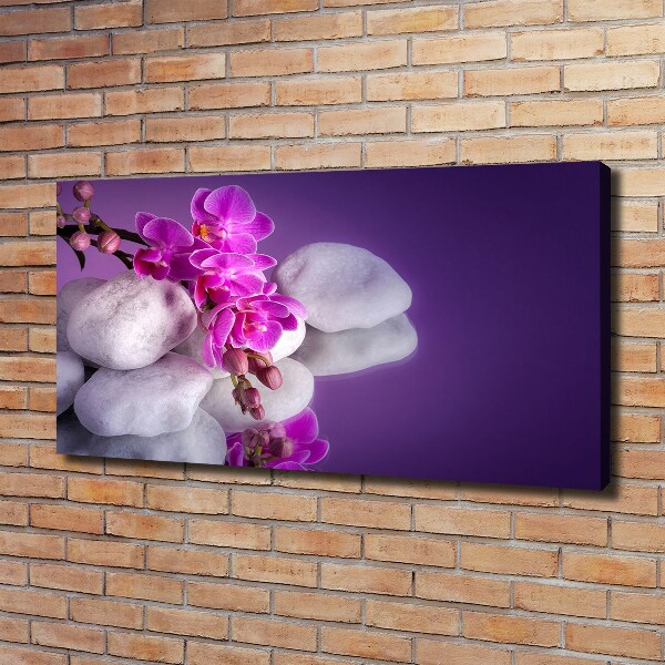 Wandbild Orchidee