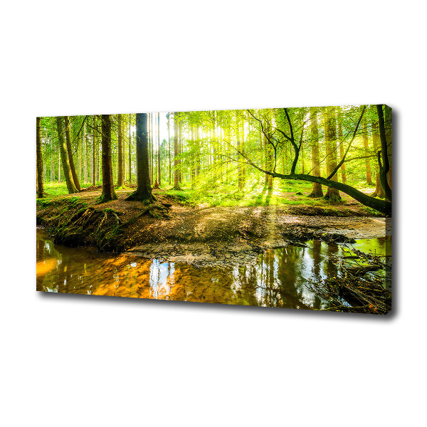 Wandbild Ein Teich im Wald