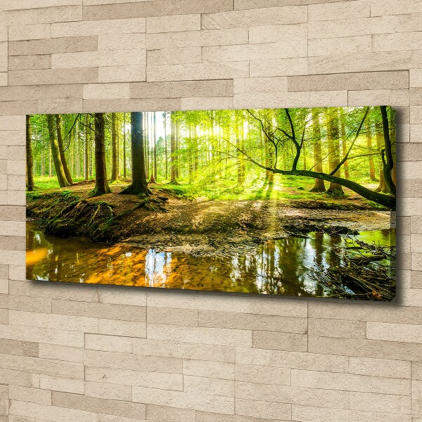 Wandbild Ein Teich im Wald