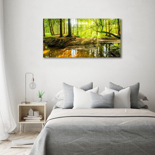 Wandbild Ein Teich im Wald