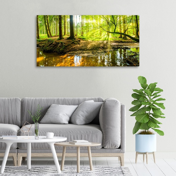 Wandbild Ein Teich im Wald