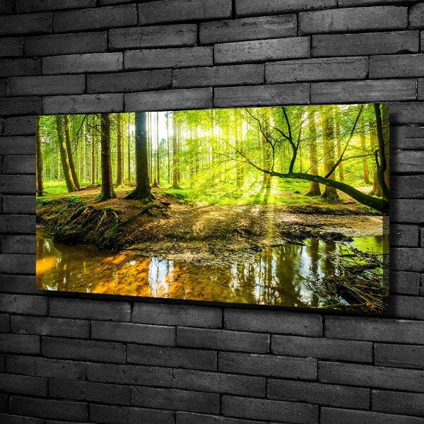 Wandbild Ein Teich im Wald