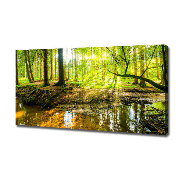 Wandbild Ein Teich im Wald