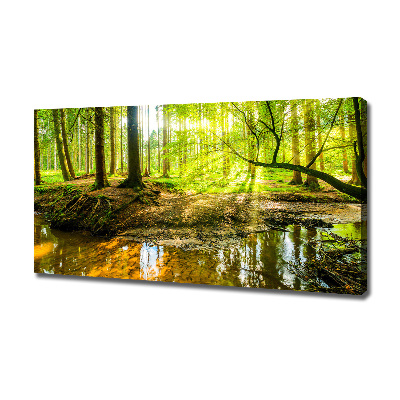 Wandbild Ein Teich im Wald