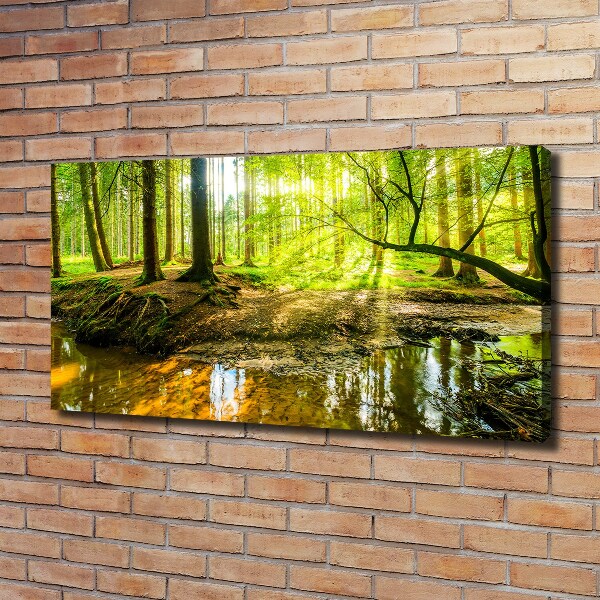 Wandbild Ein Teich im Wald