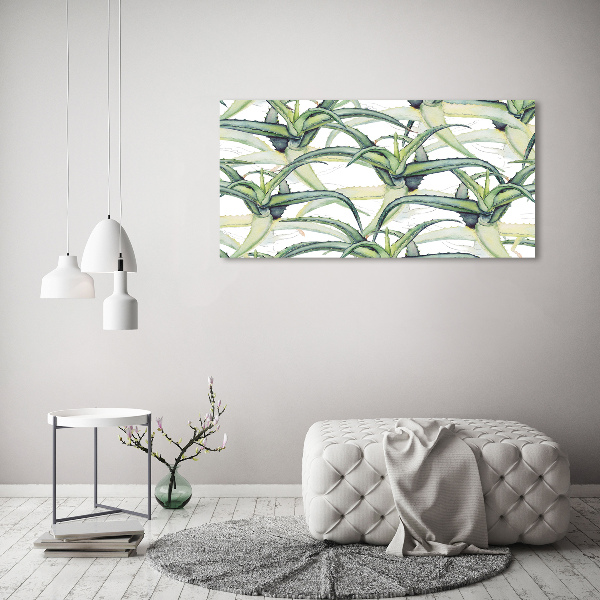 Bild auf leinwand Aloe