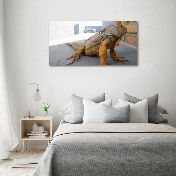 Bild auf leinwand Leguan