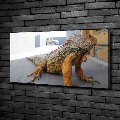Bild auf leinwand Leguan