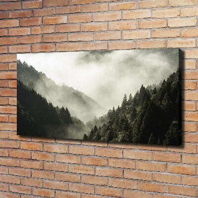 Fotobild Nebel über dem Wald