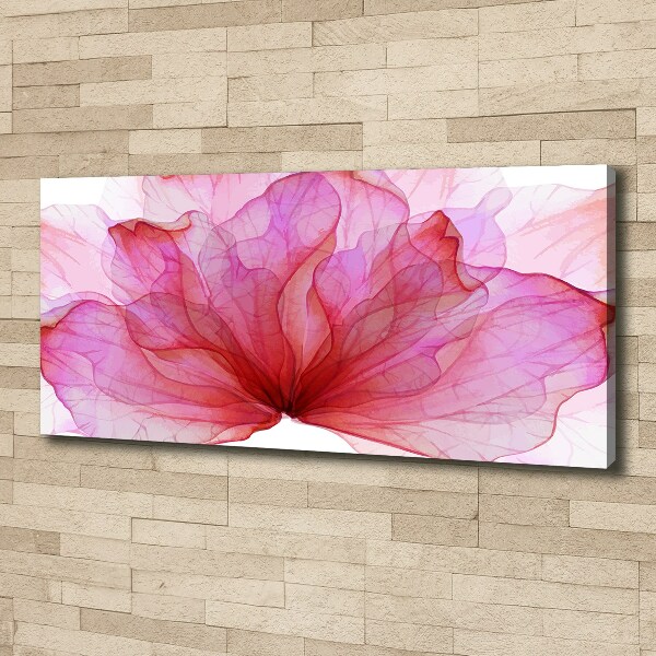 Fotobild Rosa Blume