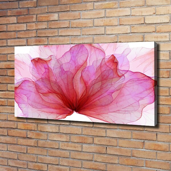 Fotobild Rosa Blume