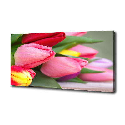 Bild auf leinwand Bunte Tulpen