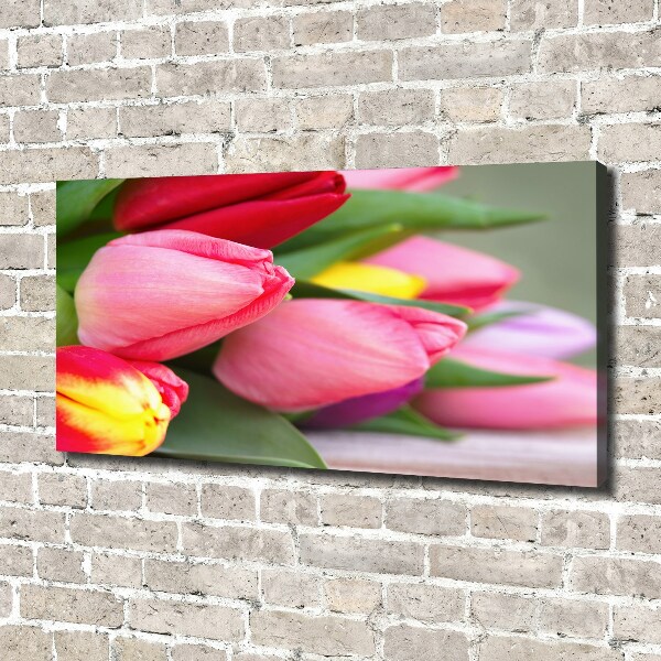 Bild auf leinwand Bunte Tulpen