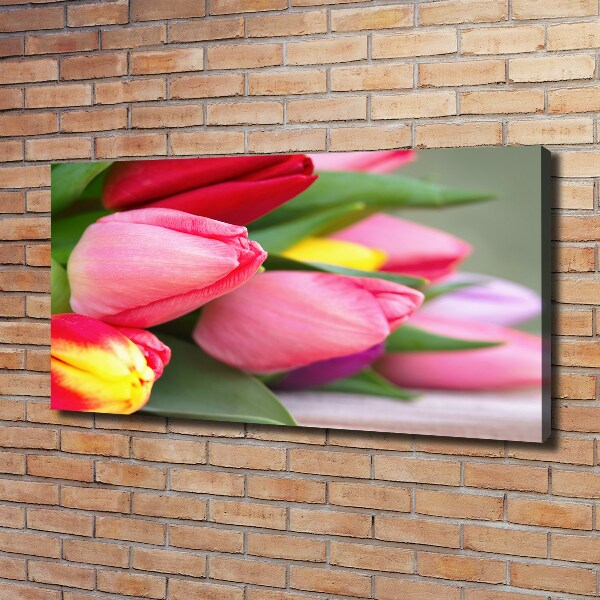 Bild auf leinwand Bunte Tulpen