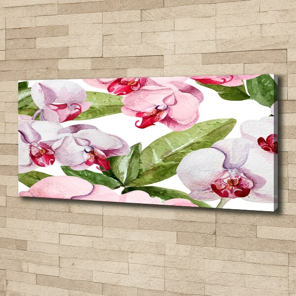 Bild auf leinwand Rosa Orchideen